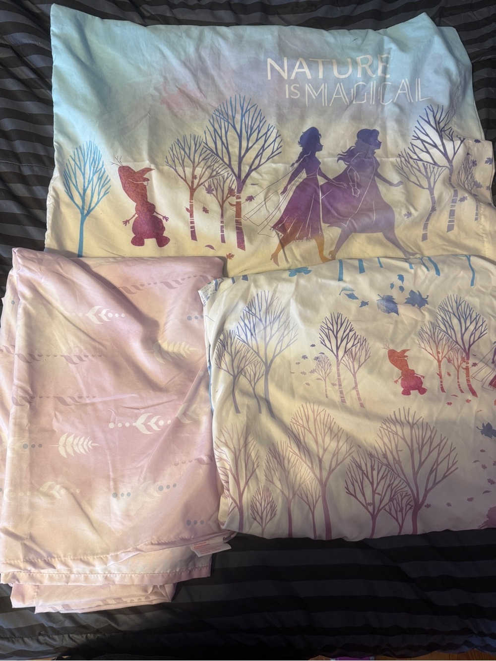 Frozen Twin Kids Bedding Set